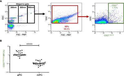 CD27+ microparticle interactions and immunoregulation of CD4+ T lymphocytes